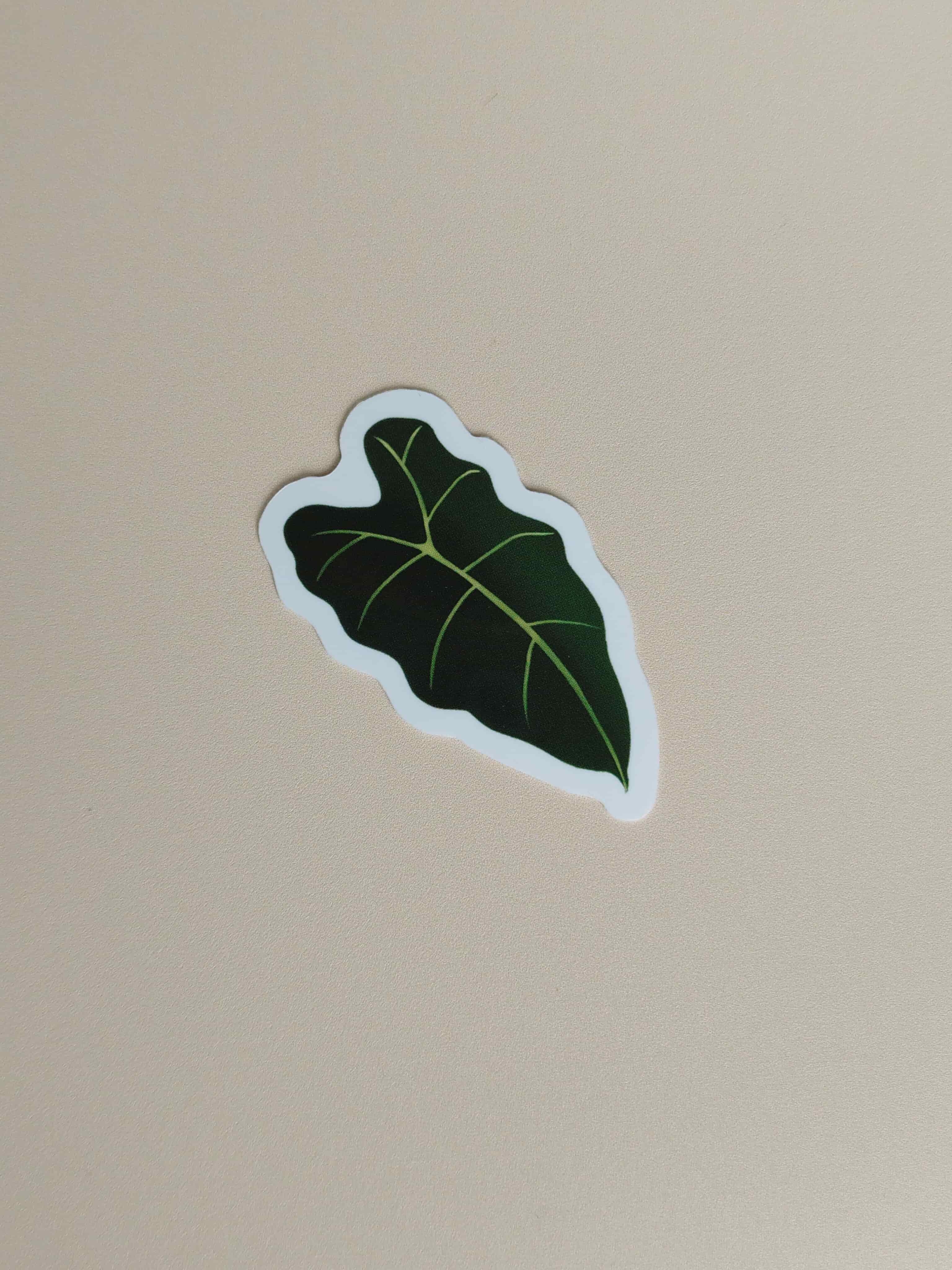 pack 4 stickers bien-être - Olenna