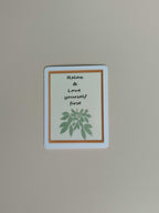 pack 4 stickers bien-être - Olenna