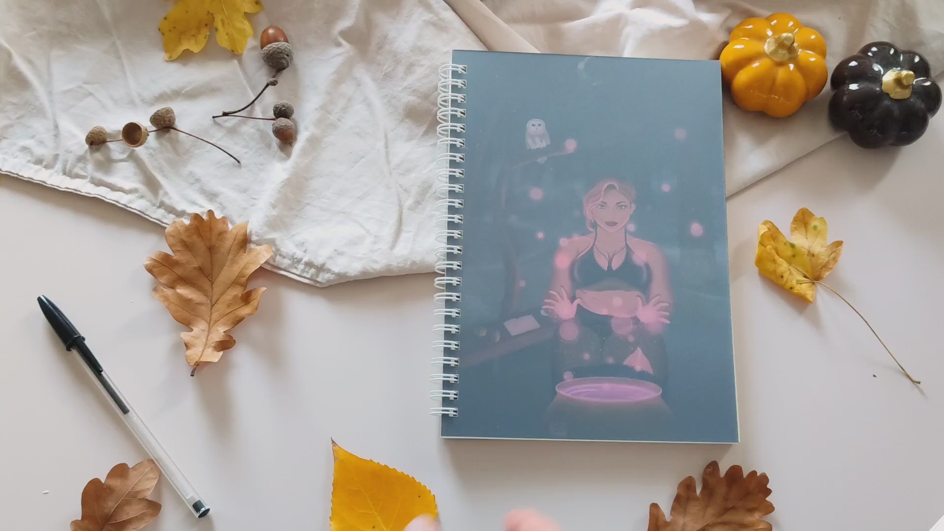 vidéo montrant l'interieur du carnet : page pvc transparente, page de couverture illustré, pages lignées bleues sur fond blanc, dernière page de couverture illutrée sans la femme et page transparente en pvc